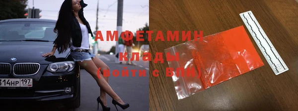 прущие грибы Россошь
