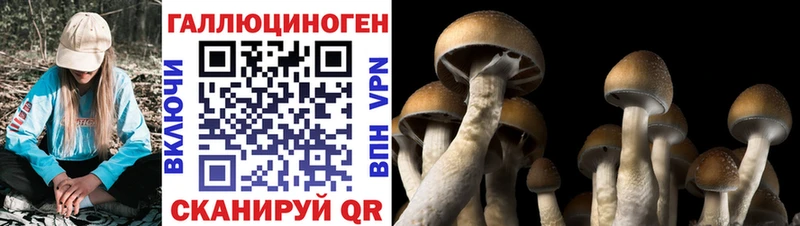 Псилоцибиновые грибы мухоморы  Серов 